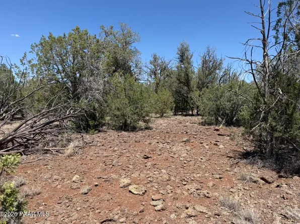 5589 N Randall Blvd, Williams, AZ 86046