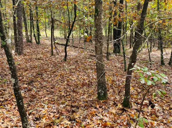 150 Lofton Rd, Calico Rock, AR 72519