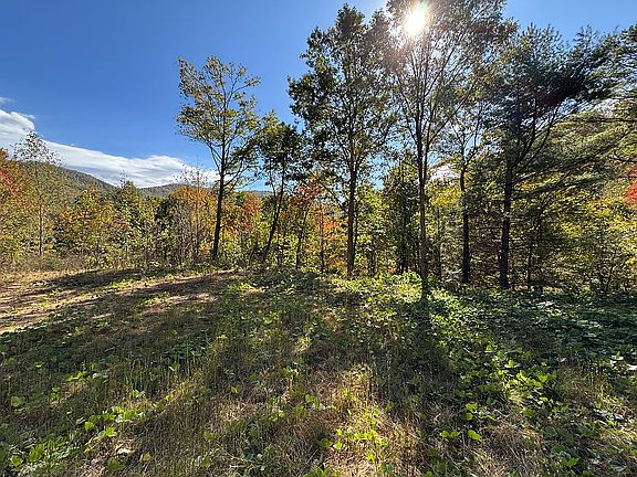 5th image of 0 Whiteside Gap Rd