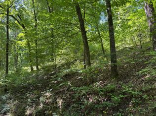 000 County Road 179, Dora, MO 65637