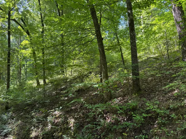 000 County Road 179, Dora, MO 65637