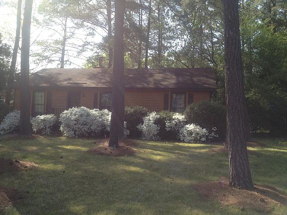 Azaleas in the spring