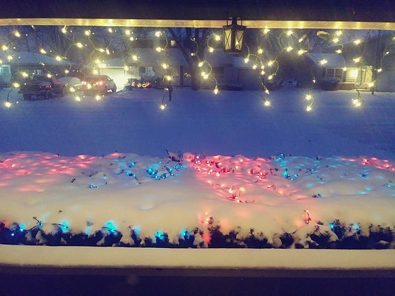 View from the front room.