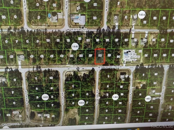 2523 W Andromedae Dr, Citrus Springs, FL 34433