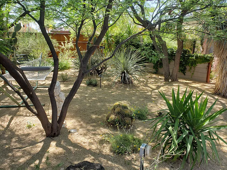 One of the gardens on the property. This is the desert garden as you walk in the front gate.