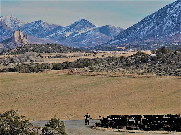 Crawford Country Cattle Driv