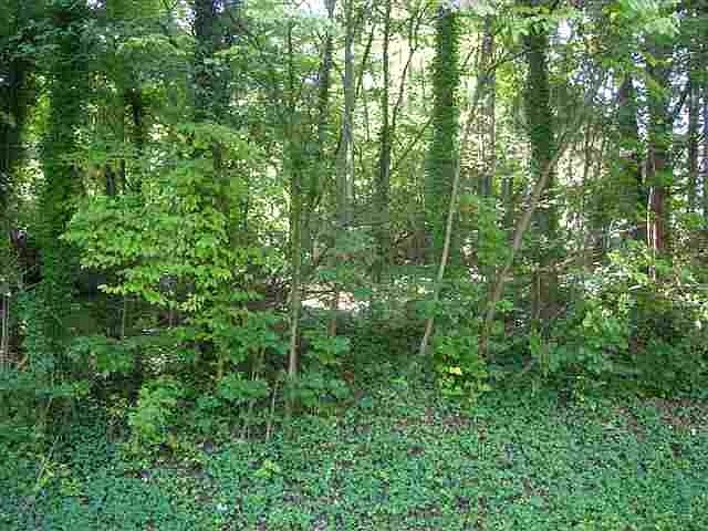 1st image of 0 Edgewater Ave Lot 89