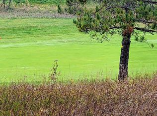 Golf Meadows Dr UNIT 36, Bellaire, MI 49615