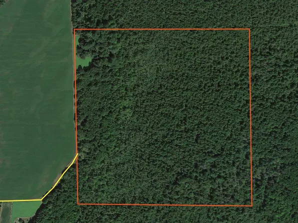Phoebe Ln, Birnamwood, WI 54414