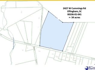 2427 W Cummings Rd, Effingham, SC 29541