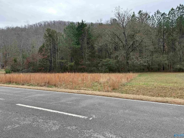 4.77 Ac Hwy #35, Scottsboro, AL 35768