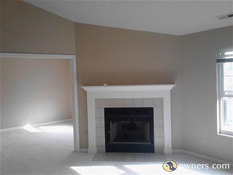 Wood Burning Fire Place