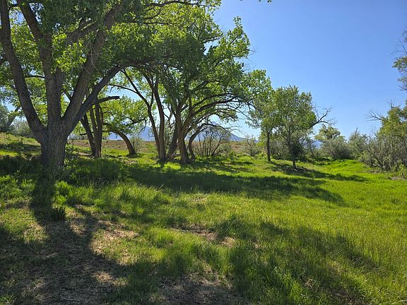 5th image of 37366 Bone Mesa Rd