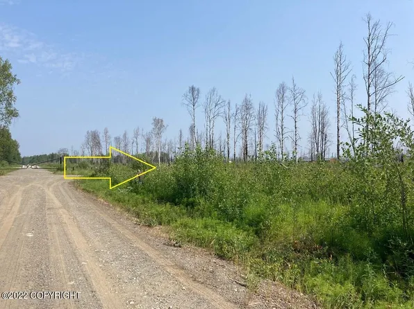 47595 Hawk Ave S, Willow, AK 99688
