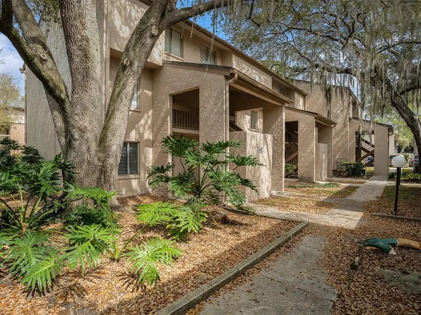 5502 Loblolly Ct, Tampa, FL 33617