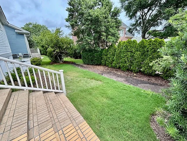 Back yard