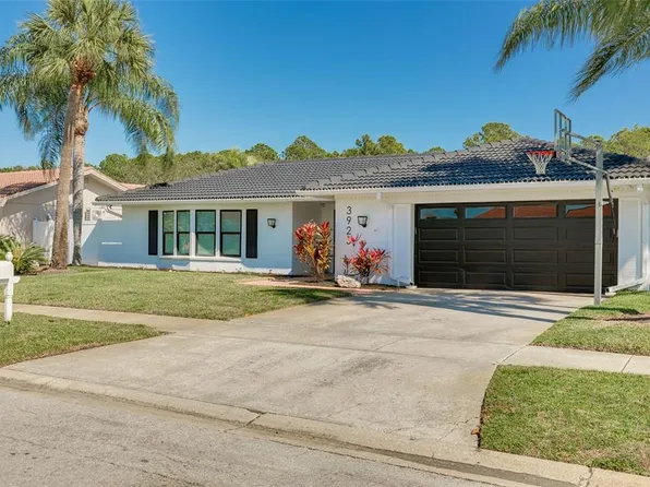 3923 Doral Dr, Tampa, FL 33634