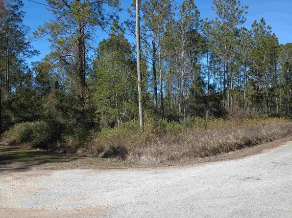 10575 Amos Ave, Hastings, FL 32145