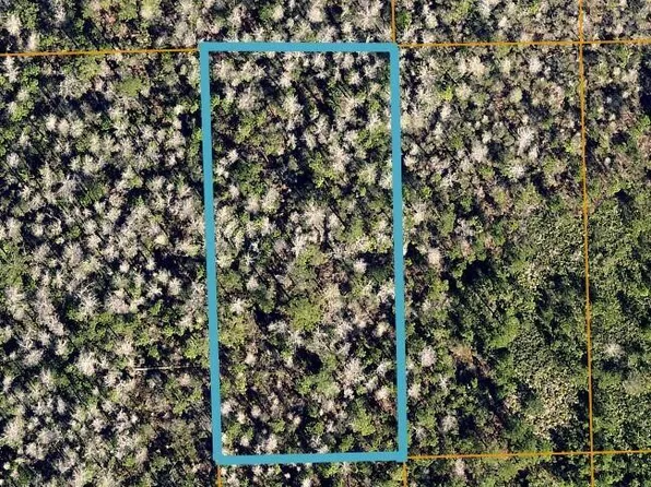 0 Street Country, Lake Helen, FL 32744
