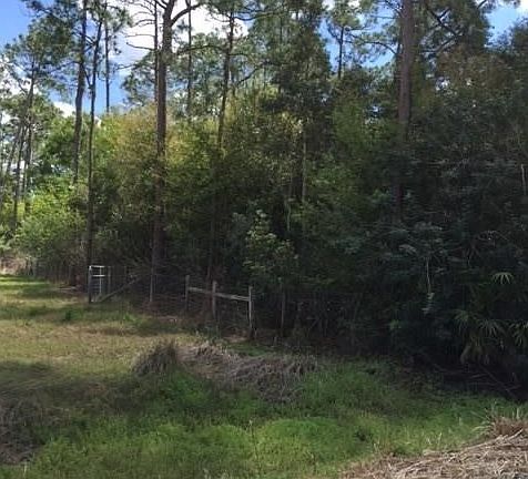 This is the northern border of the property.