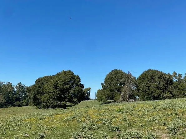 9 County Road 242, Oakwood, TX 75855