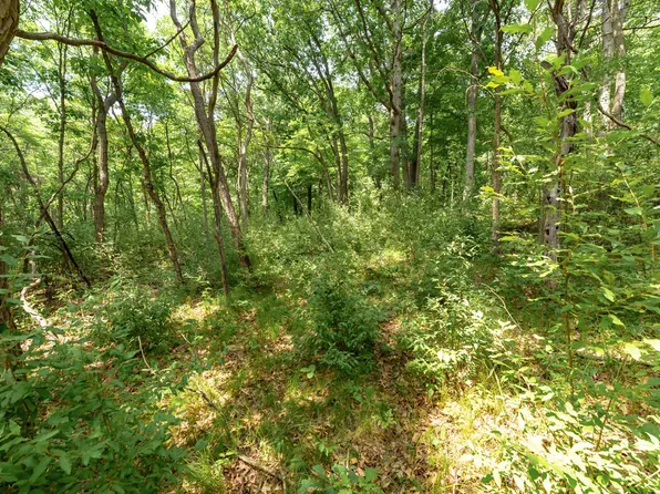 14865 North Ave, Bellevue, MI 49021