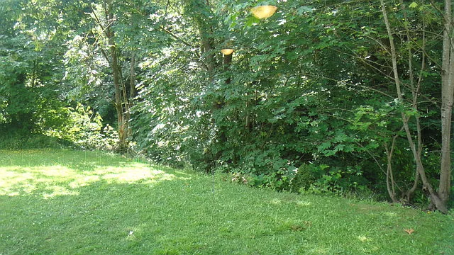 1600 S Kent Des Moines Rd — Photo 6