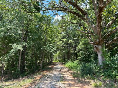 Off County Rd #51, Myrtle, MS, 38650