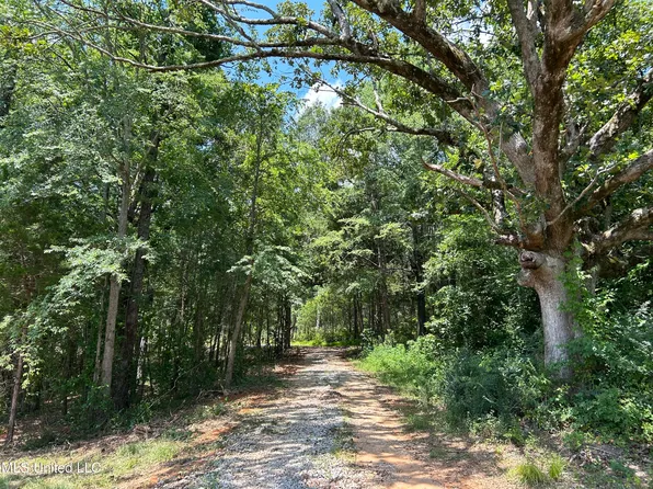 Off County Rd #51, Myrtle, MS 38650
