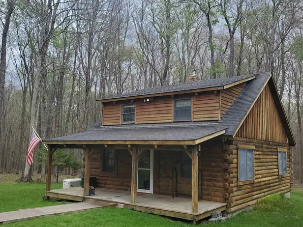118 Bobcat Rd, Davis, WV 26260