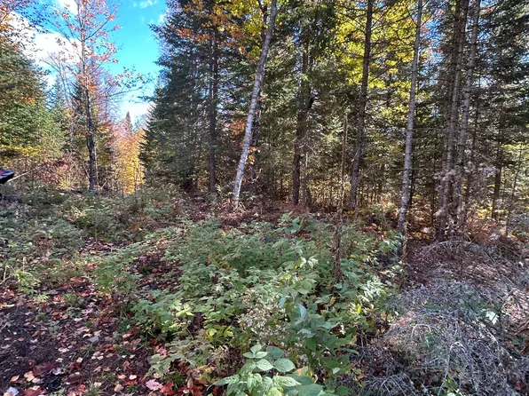 0 Rosien Rd, Bonnechere Valley, ON K0J 1T0