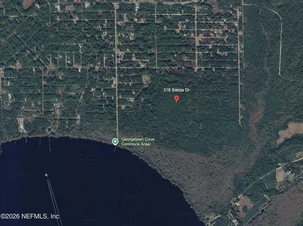 318 SIESTA Drive, Georgetown, FL 32139