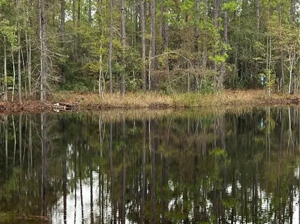 0 Gibson Cir, Hortense, GA 31543