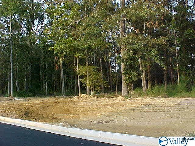 2nd image of 2800 Turtle Pond Ln SW