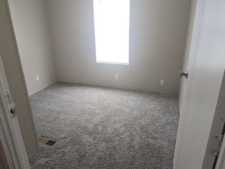 Palmetto Palms — Photo 15
