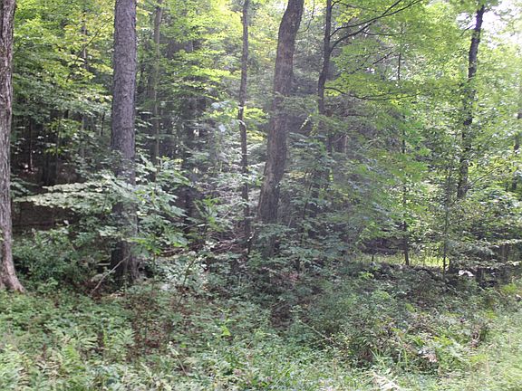 3rd image of 0 N County Rd