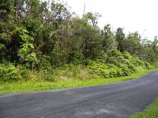 2nd image of Lehua St Lot 7132