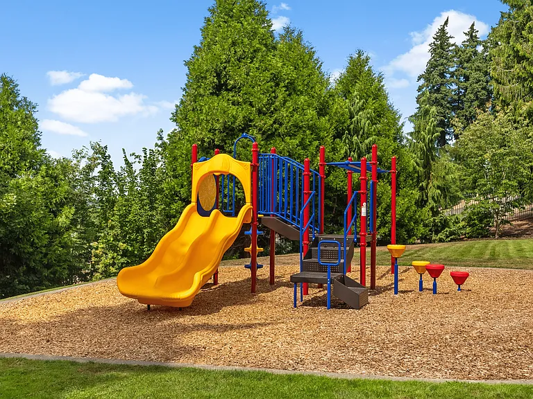 A vibrant community playground designed for fun and adventure.