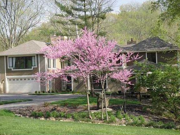 Beautiful Eagle Creek Home