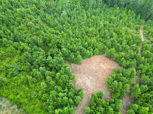 7 County Road 1174, Goshen, AL 36035