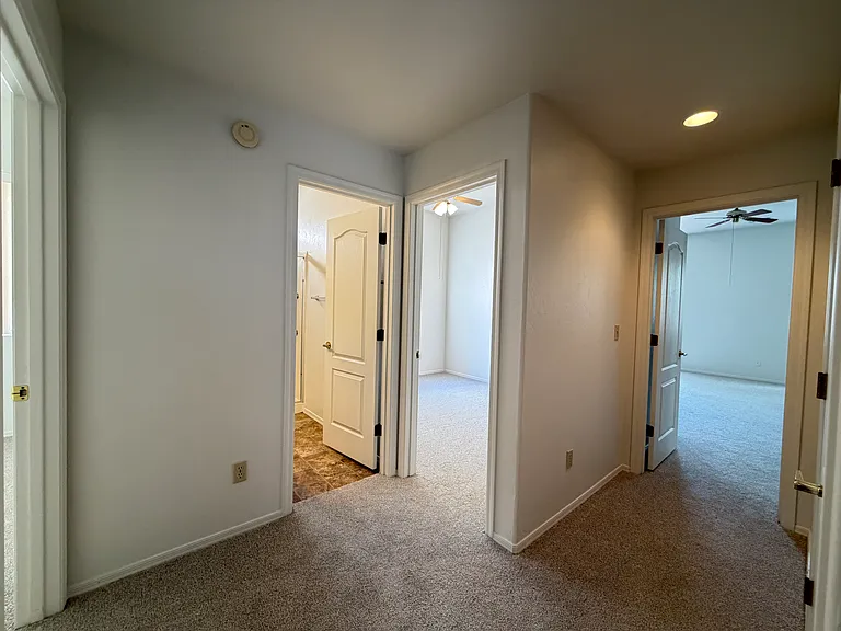 8852 E Desert Verbena Pl — Photo 11