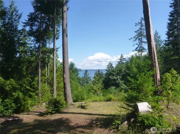 0 Hwy 101, Brinnon, WA 98320