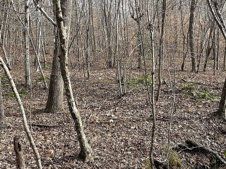 1st image of LOT 1 Mountain Creek Rd