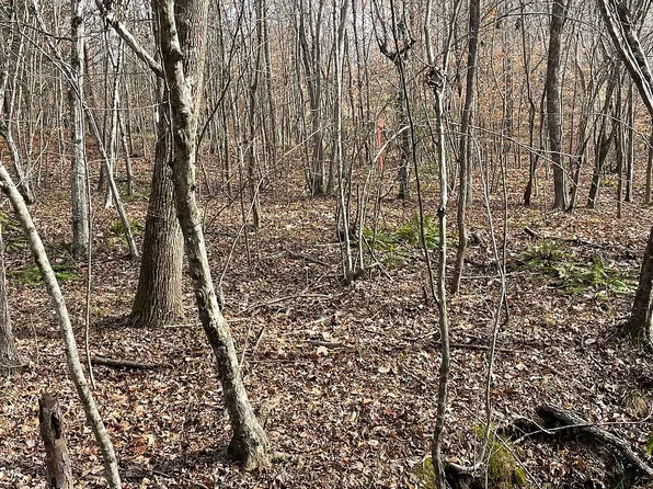 LOT 1 Mountain Creek Rd, Greenbay, VA 23942