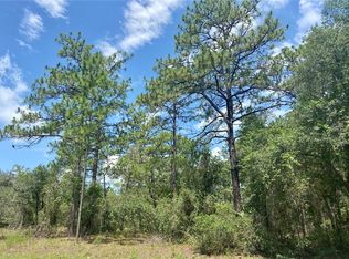 LOT 22 SW 206th Ave LOT 22, Dunnellon, FL 34431