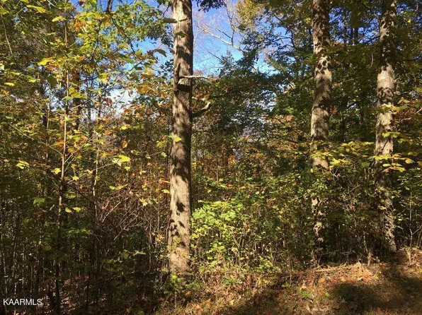 62 Overlook Trl, Maynardville, TN 37807