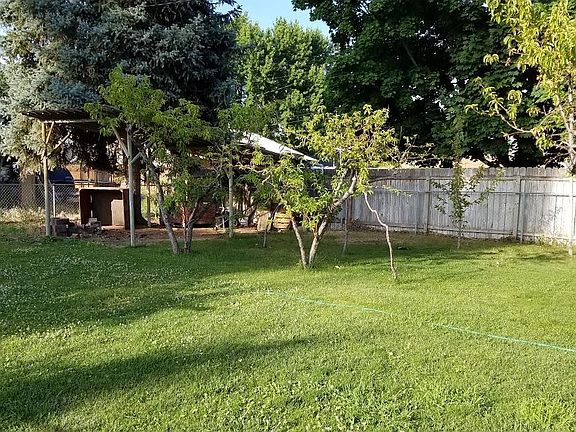 back yard and view of some fruit trees