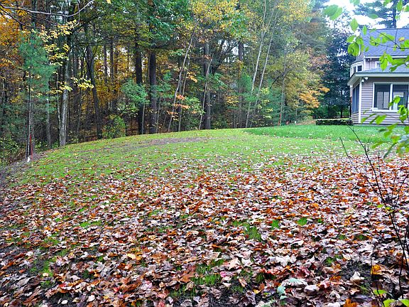 Regraded back yard
