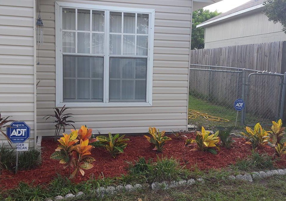 Front of the house