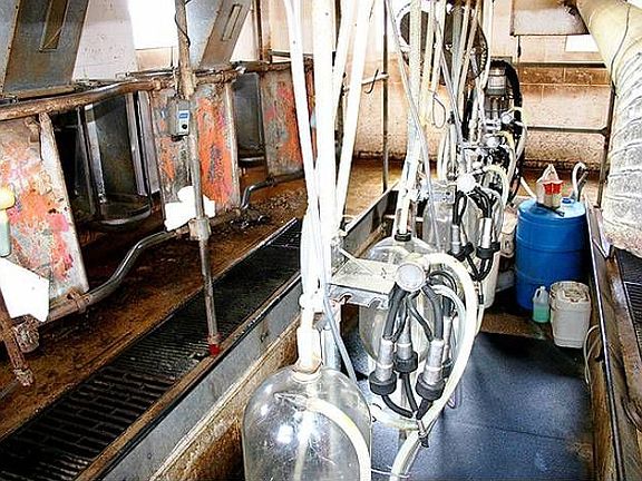 Milking Parlor, View 1